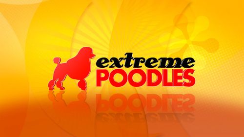 Extreme Poodles